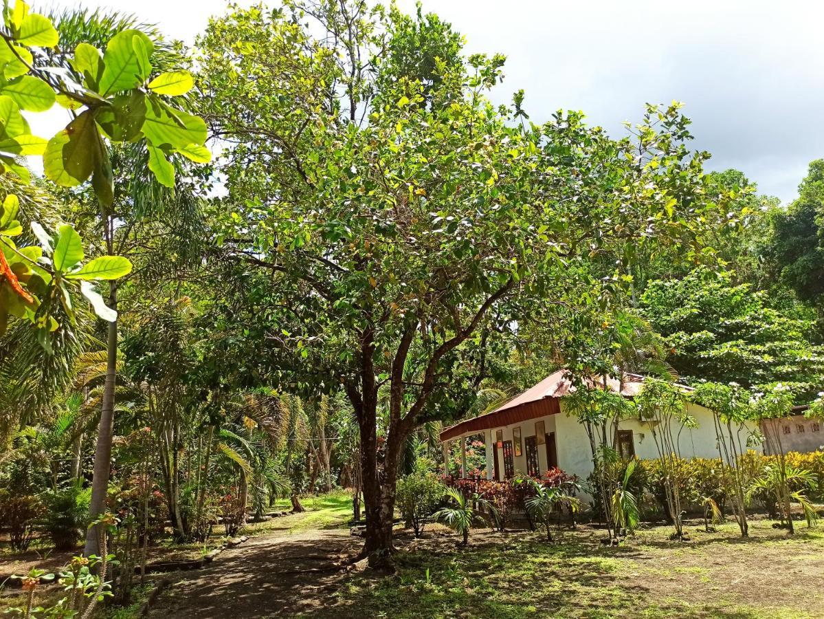 Tangkoko Jungle Homestay Rinondoran Экстерьер фото