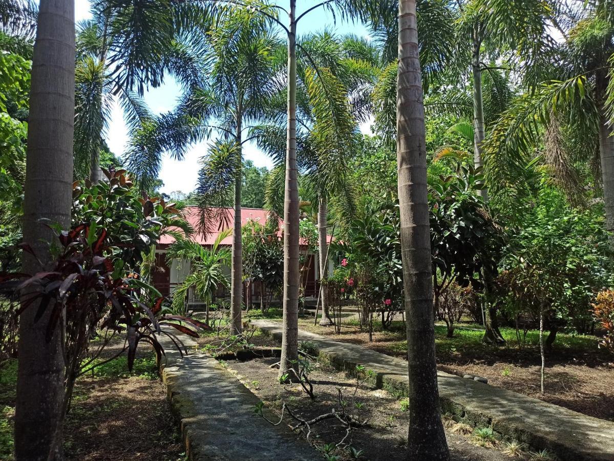 Tangkoko Jungle Homestay Rinondoran Экстерьер фото